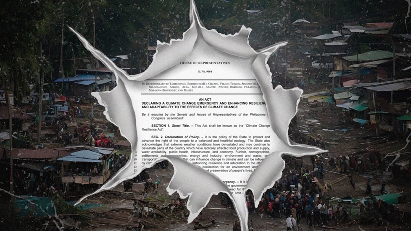 picture2.jpg