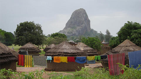 grass huts