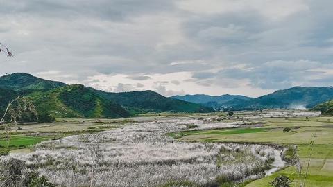 green grass field in Pallel, Manipur, India