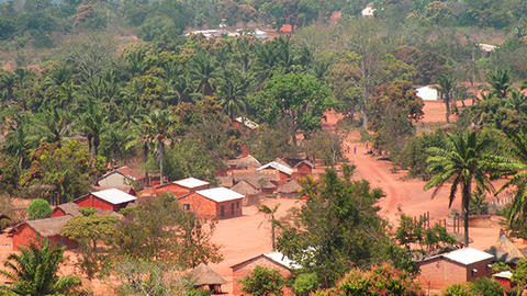 forested hills